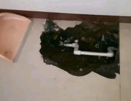 德州卫生间测漏水多少钱